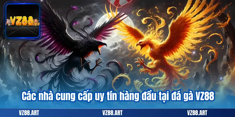 Các nhà cung cấp uy tín hàng đầu tại đá gà VZ88