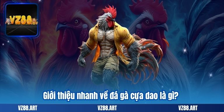 Đá Gà Cựa Dao – Kiến Thức Cần Thiết Dành Cho Anh Em 6 Giới thiệu nhanh về đá gà cựa dao là gì?