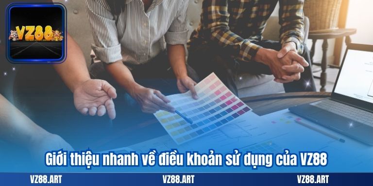 Giới thiệu nhanh về điều khoản sử dụng của VZ88