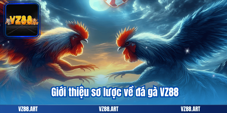 Giới thiệu sơ lược về đá gà VZ88
