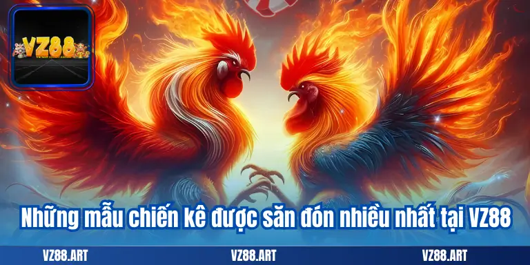 Những mẫu chiến kê được săn đón nhiều nhất tại VZ88